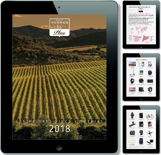 Sales folder para la red de ventas de presentación del programa de fidelidad Torres Plus para tablet